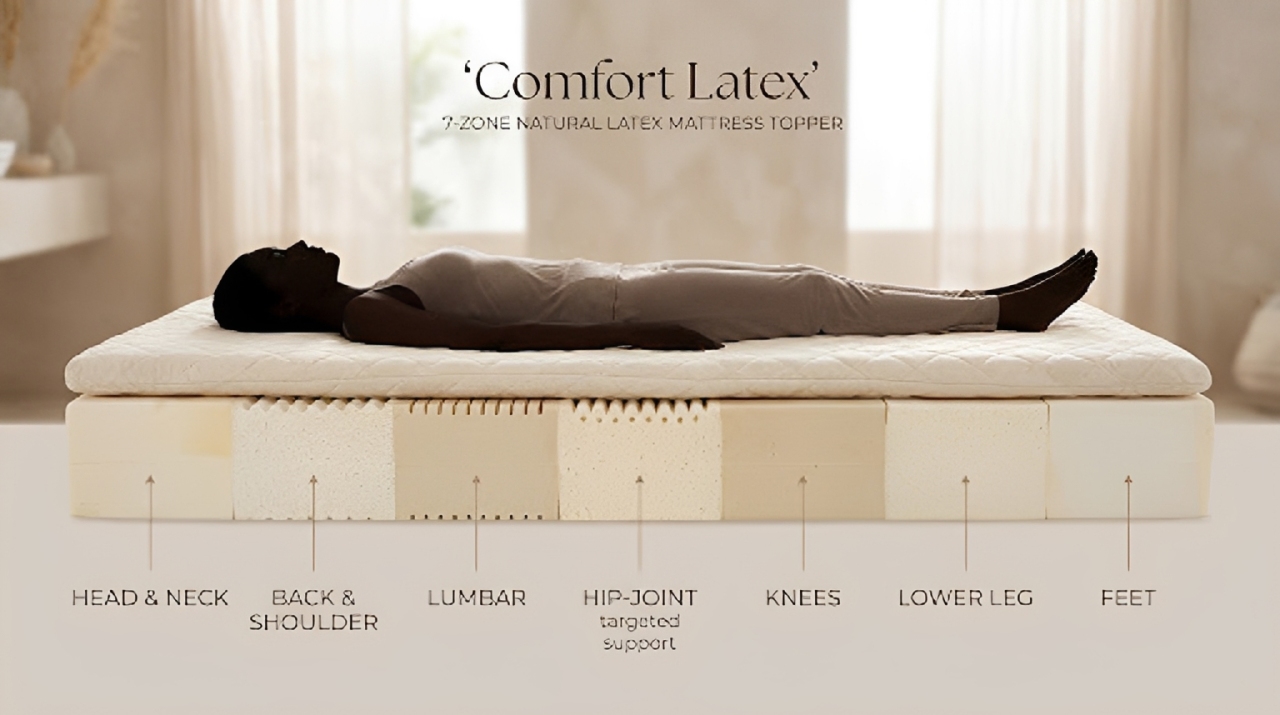 7-Zone Natural Latex Support Diagram